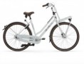 Gazelle Miss Grace